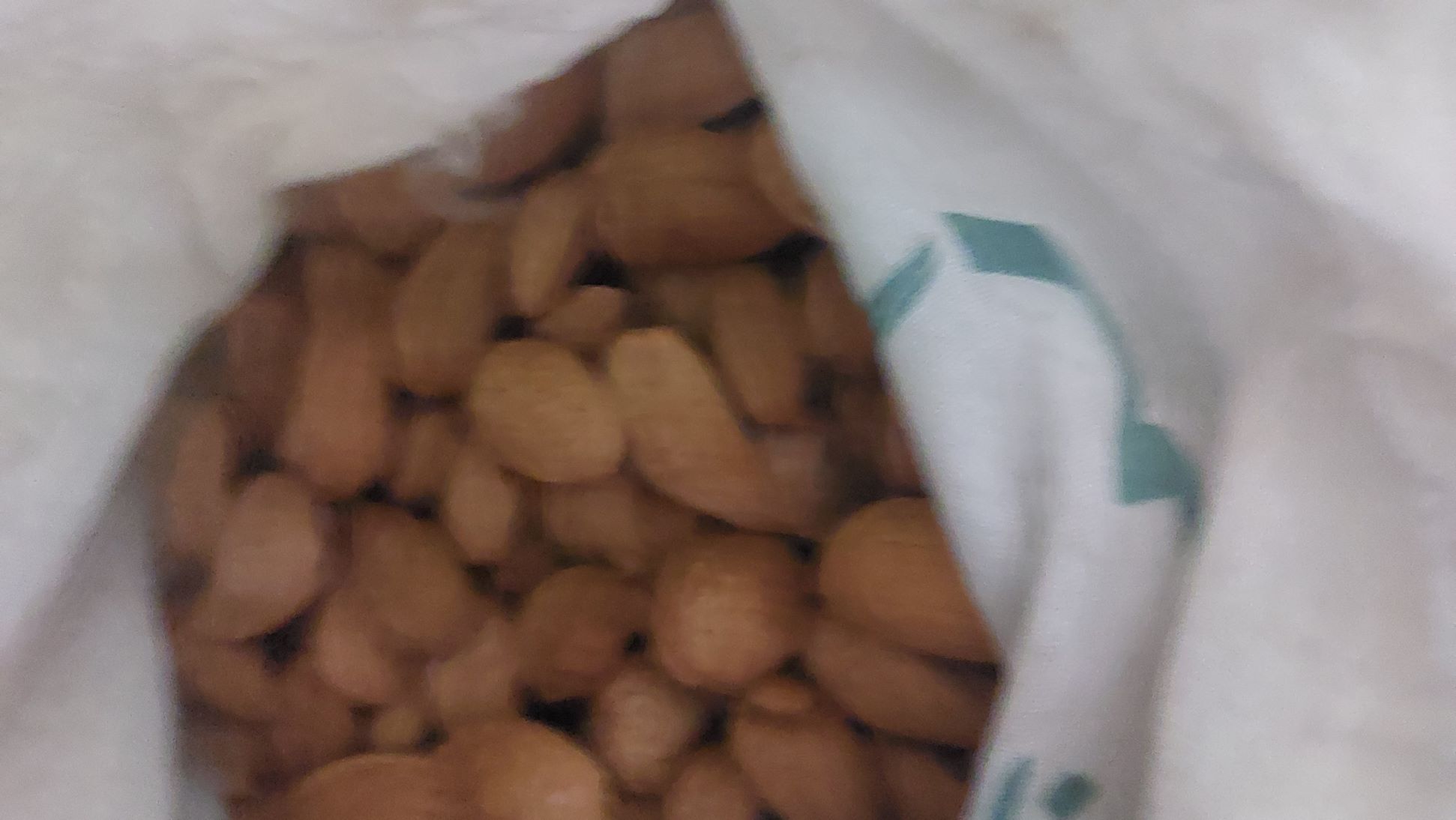 بادام سنگی درختی 